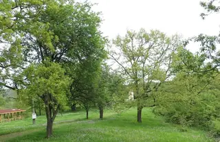 Църква "Света Петка" - Петрова нива — Стоилово