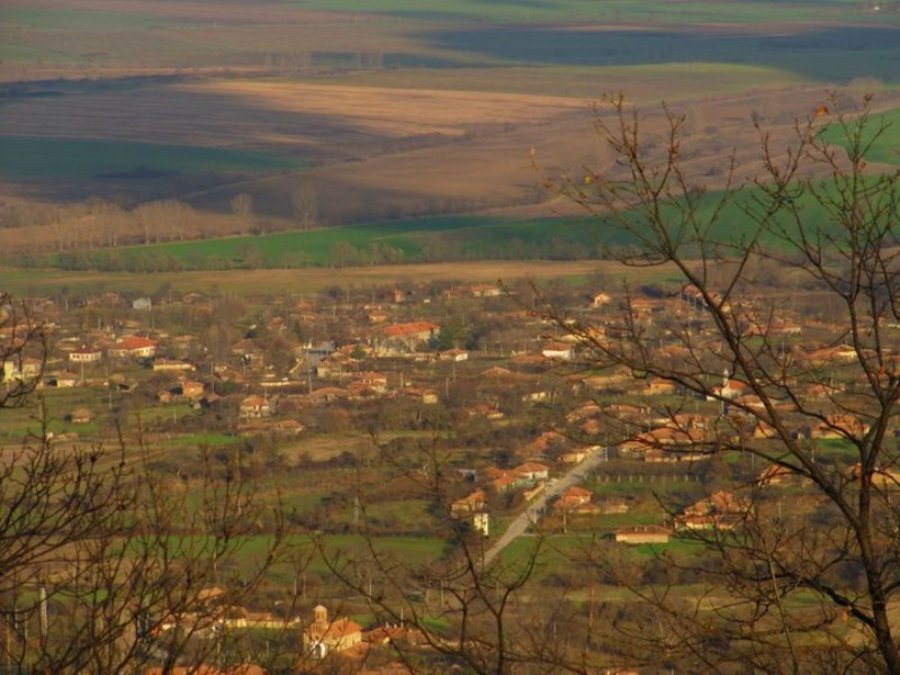 Защитена местност "Славейкова гора"