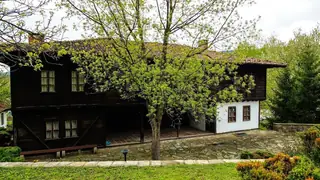Камбуров хан - Елена — Елена