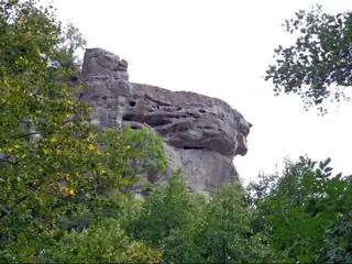 Скално образувание "Свинската глава" — Добромир