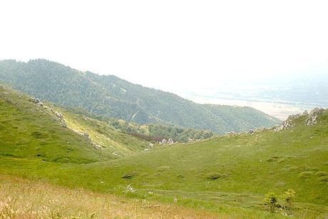 Местност "Тасовете"