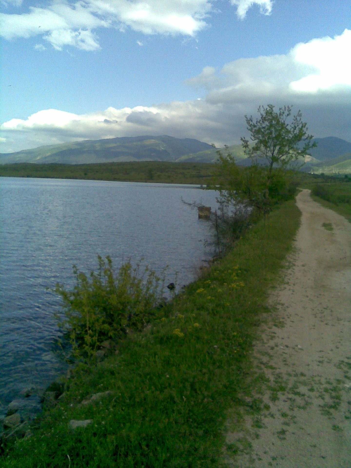 Оризари