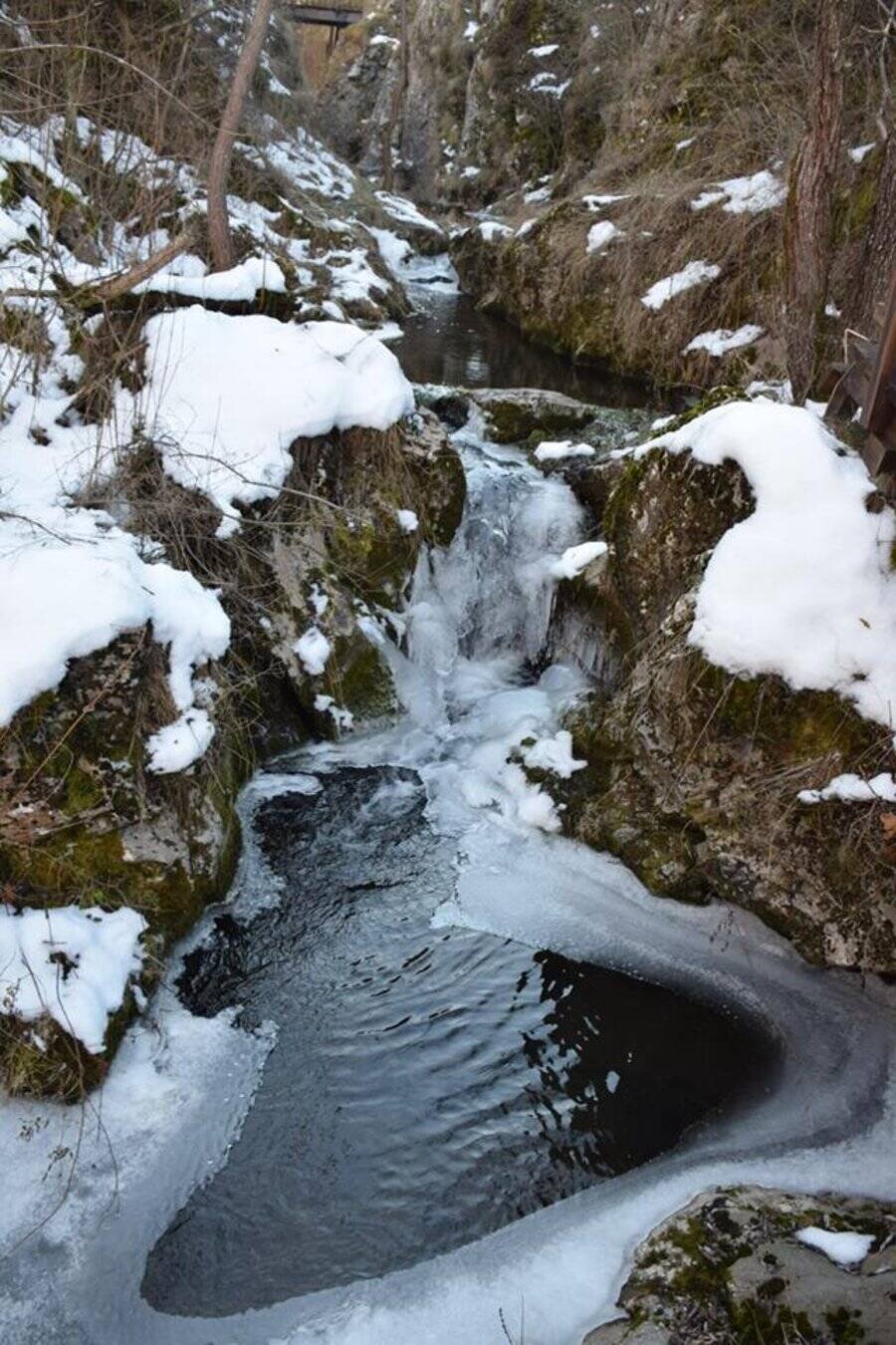 Туристически маршрут: Екопътеки Гълъбовци-Петлюка и Гургулят-Петлюка