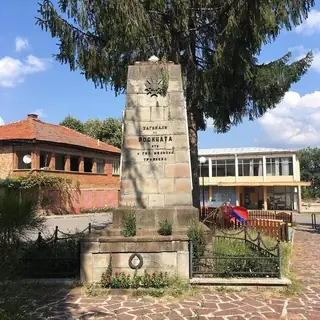 Паметник "Загинали за родината" - с.Голяма Желязна — Голяма Желязна