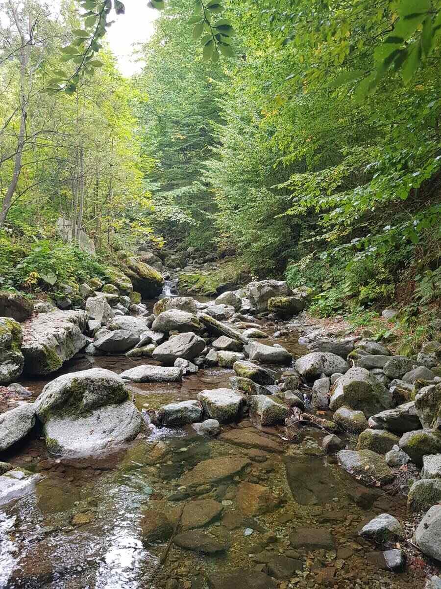 Река Пръскалска - Априлци