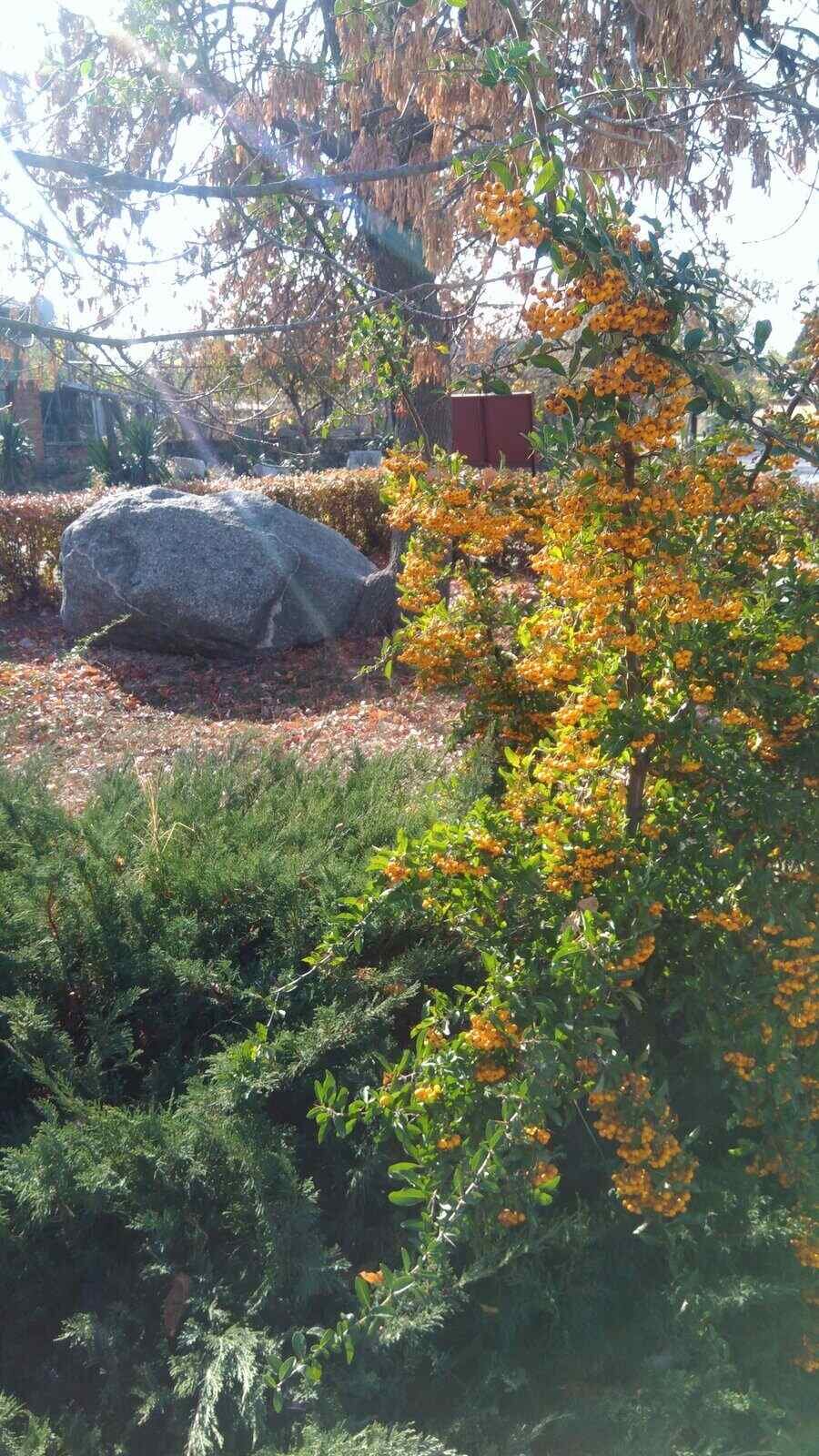 Парк - с. Старо село