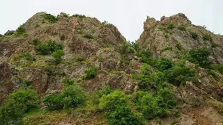 Кован Кая - Маджарово — Горно поле