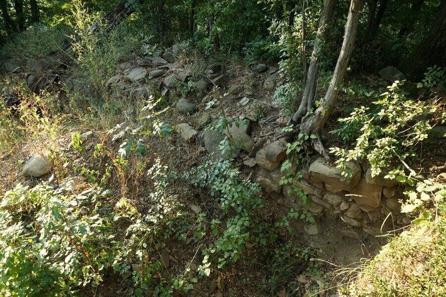 Крепост "Макавея" - Златарица