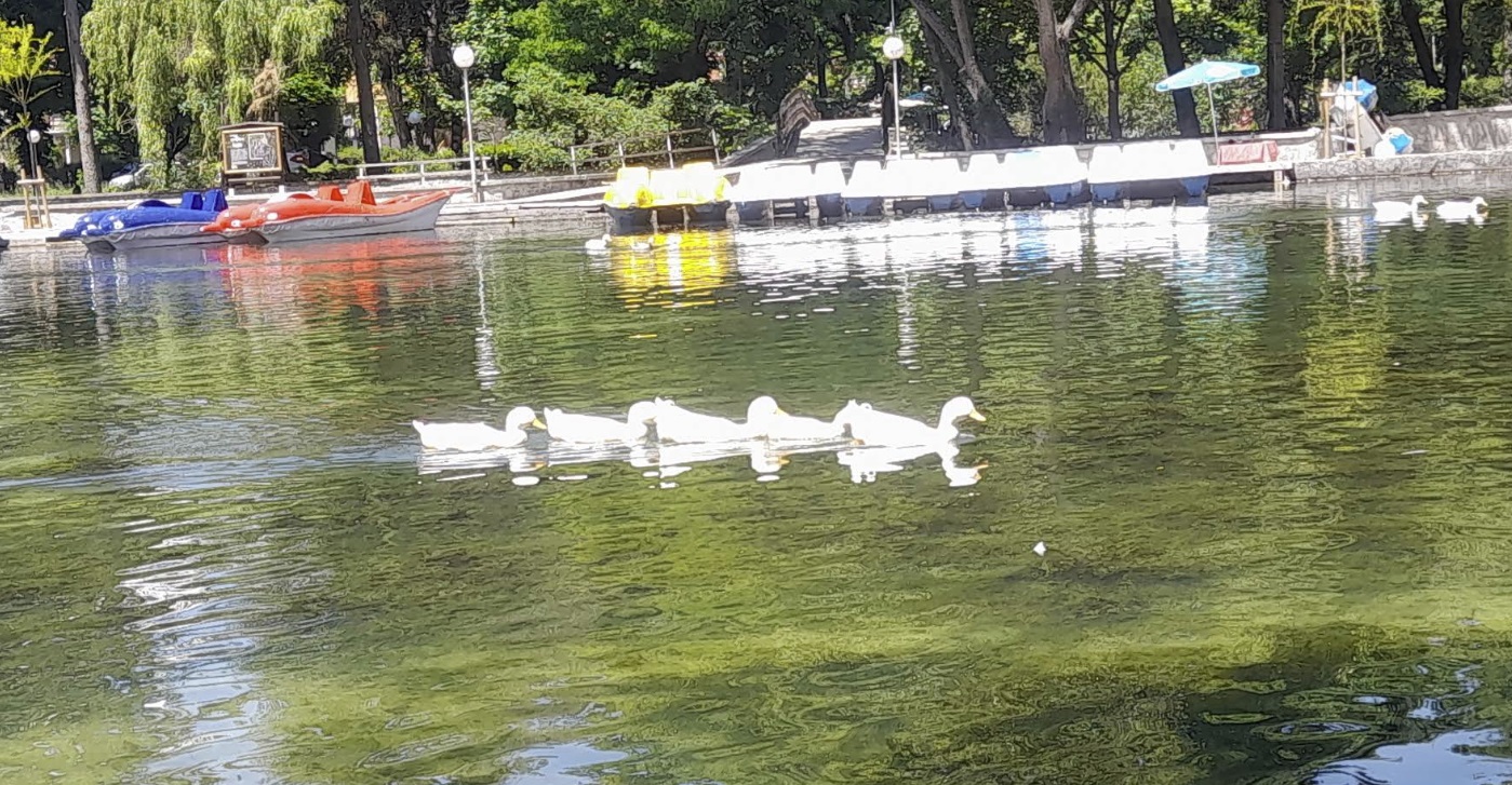 Езеро „Клептуза“ – най-големият карстов извор в България и двата изкуствени водоема на Велинград