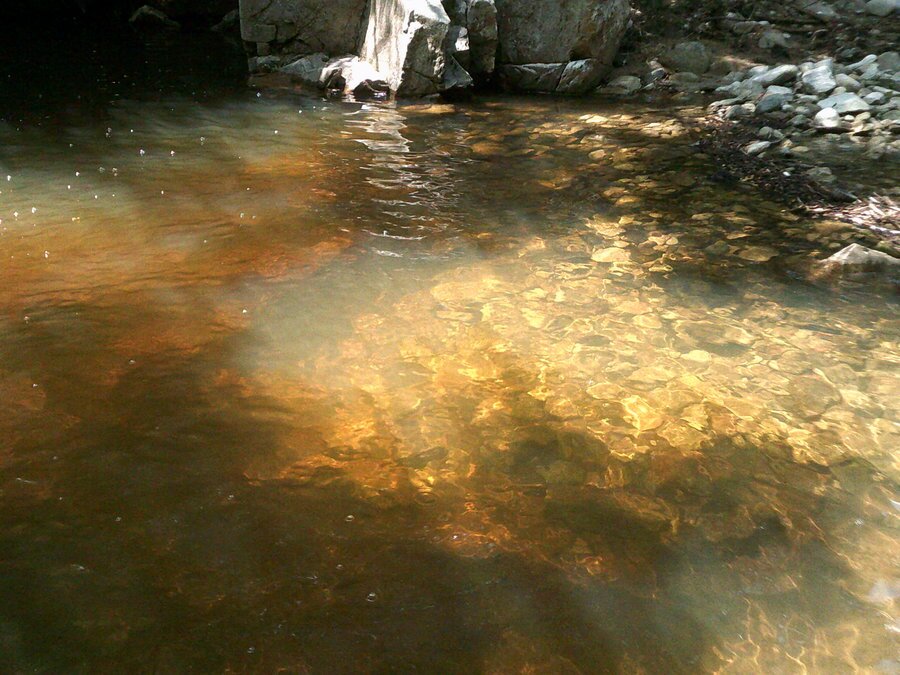 Проданов скок