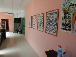 Къща на Пеперуди — Варна