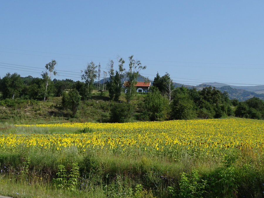 Параклис "Св. Петка" - с.Мирково