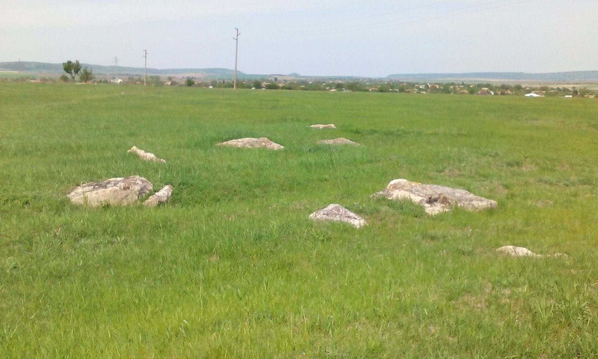 Златна нива