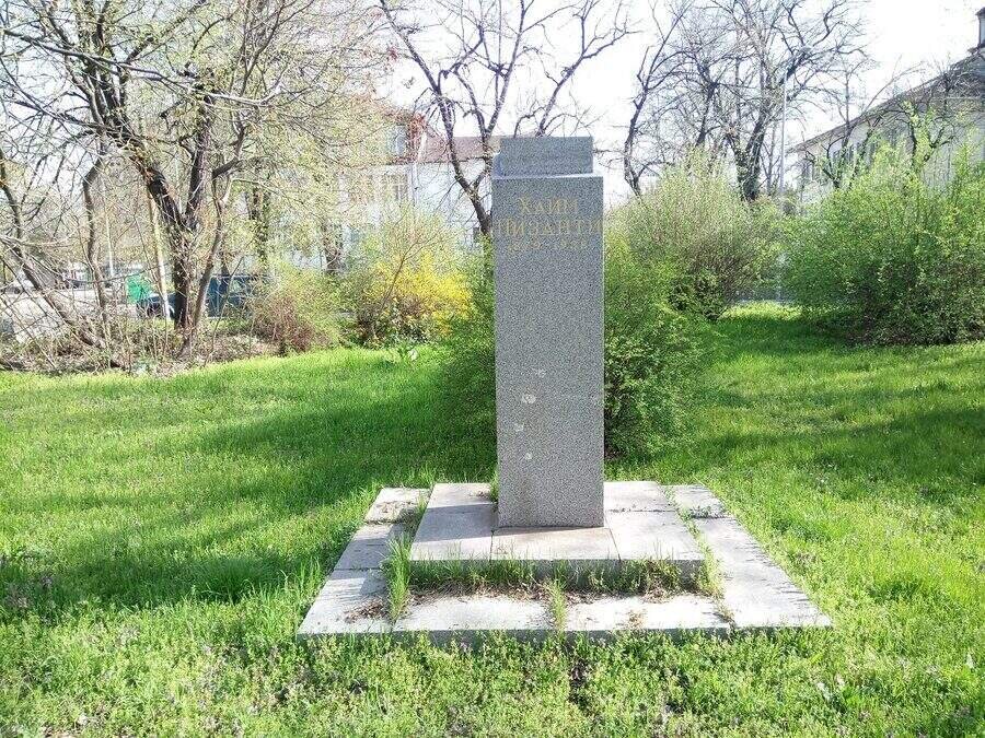 Паметник на Хаим Пизанти - Видин