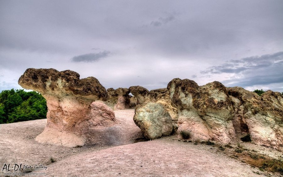 Каменни гъби - с.Бели пласт