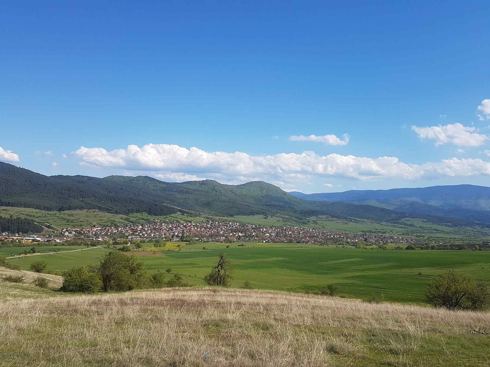 Дорково