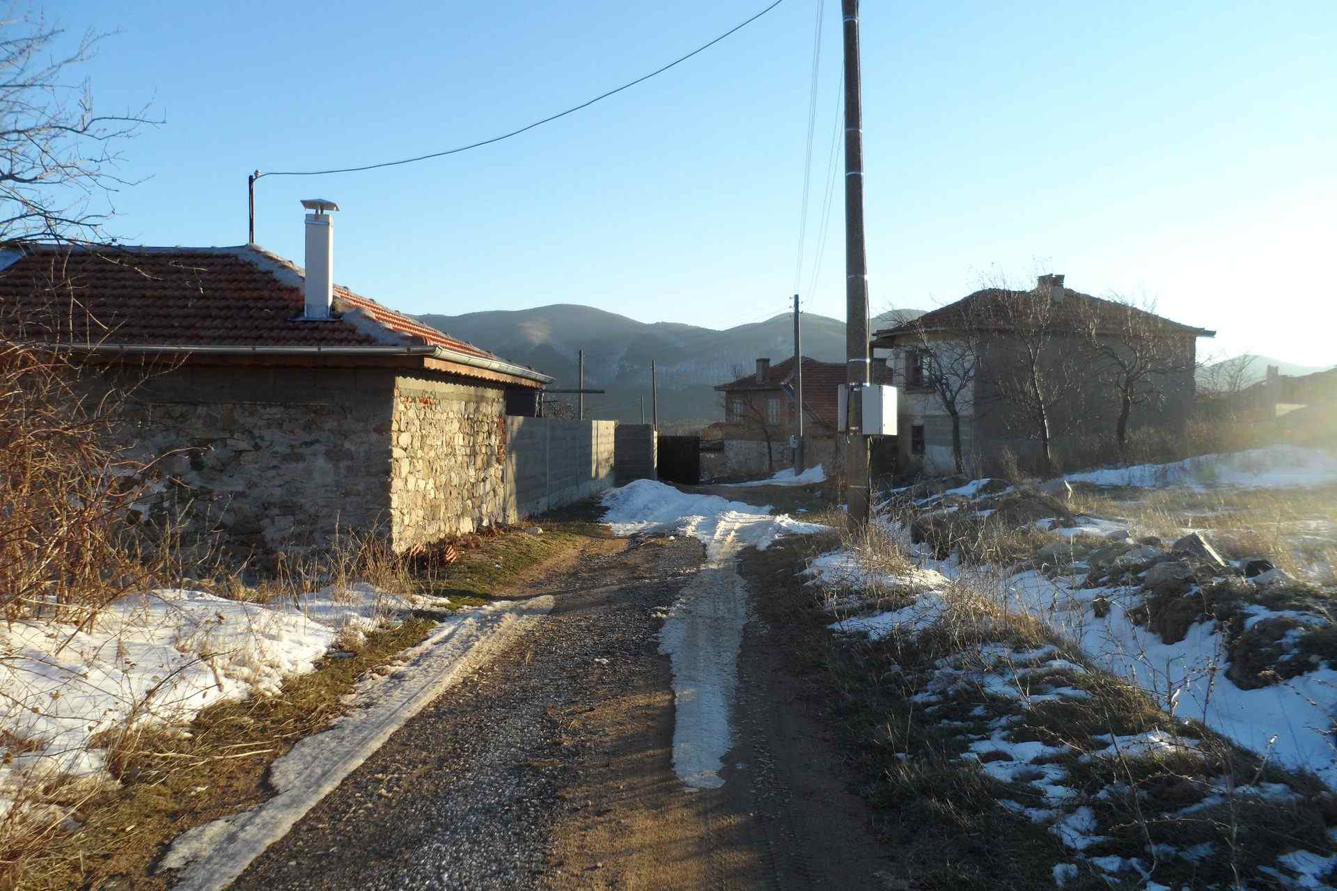 Жълтопоп