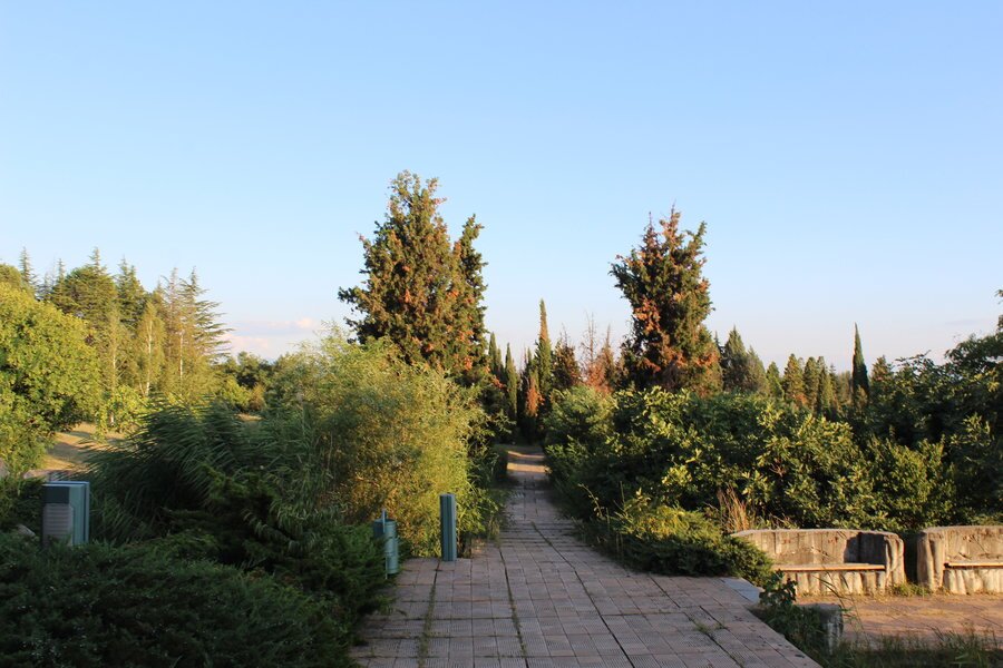 Ботаническа градина "Свети Врач" - Сандански